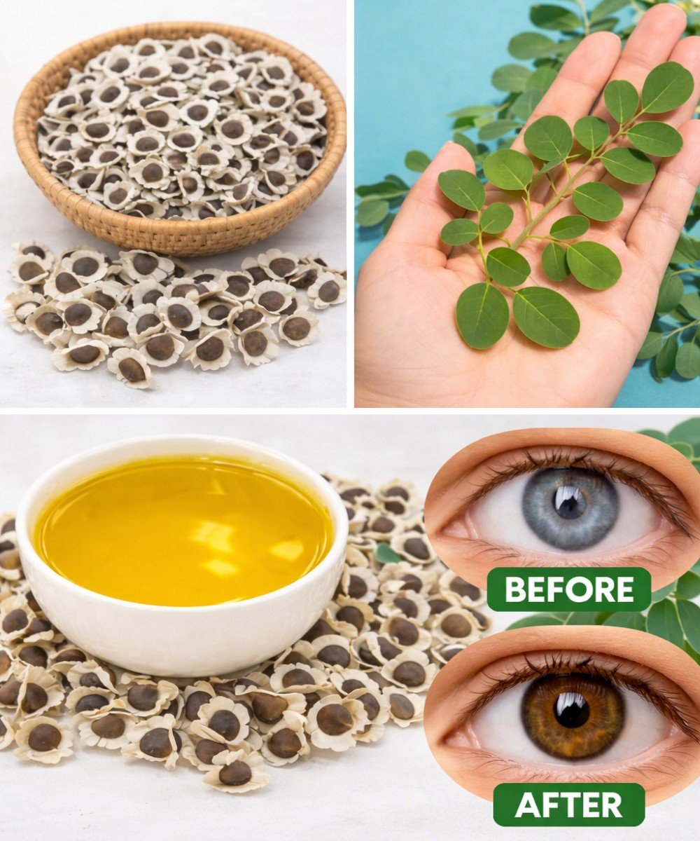 Unlock the Hidden Power of Moringa Seeds: 12 Science-Backed Benefits for Vitality After 50