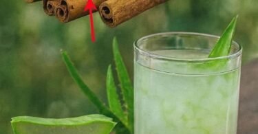 Aloe Vera with Cinnamon: The Home Remedy That Protects Your Health and Vision