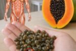 How Papaya Seeds Can Erase 10 Common Health Issues Naturally!
