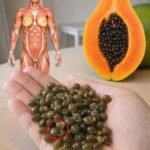 How Papaya Seeds Can Erase 10 Common Health Issues Naturally!