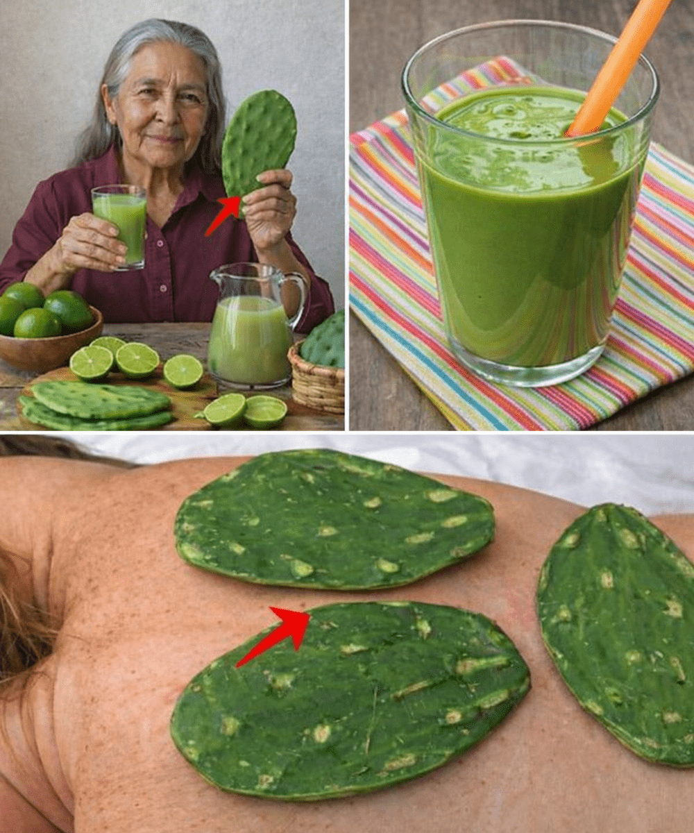 The Simple Lemon and Nopal Drink That Could Boost Your Energy and Digestion Naturally
