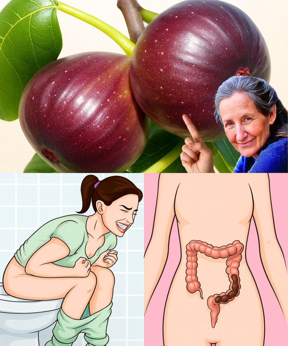 7 Natural Remedies to Beat Constipation Fast (The Fig Trick Doctors Rarely Mention)