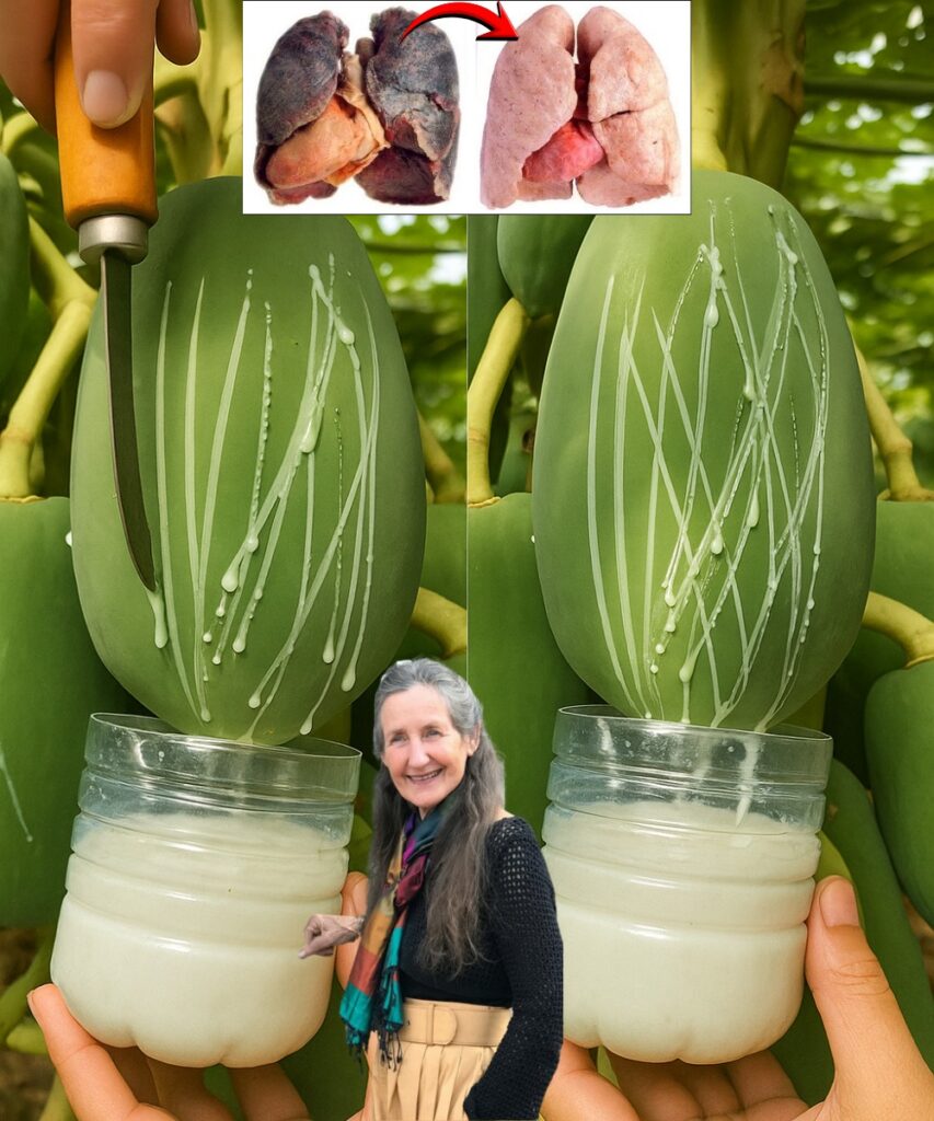 Unlock the Secret Milky Miracle Hidden in Every Papaya: The Sap That Heals, Beautifies, and Transforms Your Life