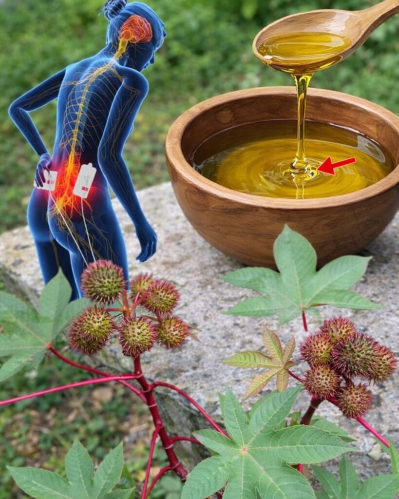 Discover the Surprising Wellness Potential of Castor Leaves Hiding in Your Backyard