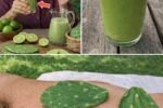 Could Lemon and Nopal (Cactus Pad) Juice Gently Support Wellness?
