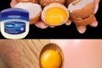 No More Wrinkles at 65! The Egg-Yolk & Vaseline Night Mask That Plumped My Mom’s Face So Much Her Friends Thought She Got Fillers