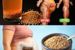 Drink Fenugreek Water at Night for 7 Days: What Really Happens to Blood Sugar, Belly Fat, and Sleep (Science-Backed Insights – Not the Overnight Miracle You Expect)