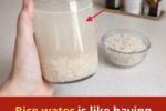 Rice Water: The Hidden Gem in Your Kitchen for Brighter Skin and Healthier Hair
