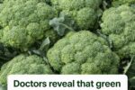 Doctors Reveal That Green Broccoli Causes… The Truth Behind the Viral Claim
