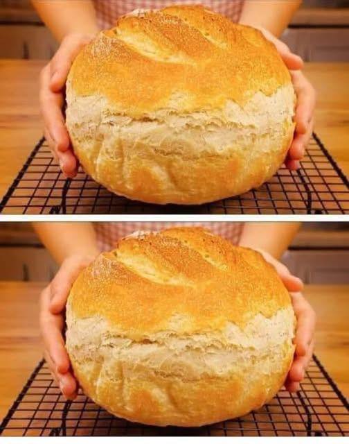  5-Minute German Bread (No-Knead)