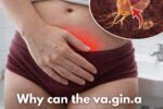Why Vaginal Odor Can Change and 4 Common Reasons Every Woman Should Know