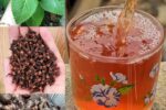 The Drink That Saved My Grandmother’s Life: At 76, It Reversed Her Diabetes, Improved Circulation, and Cleansed Her Blood