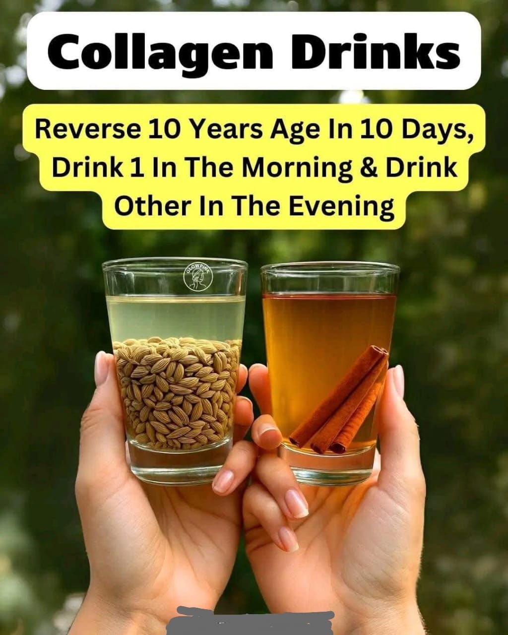 A Natural Kidney Treatment That May Restore Function and Remove Kidney Stones