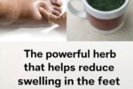 8 Best Diuretic Teas to Reduce Bloating and Fluid Retention Naturally