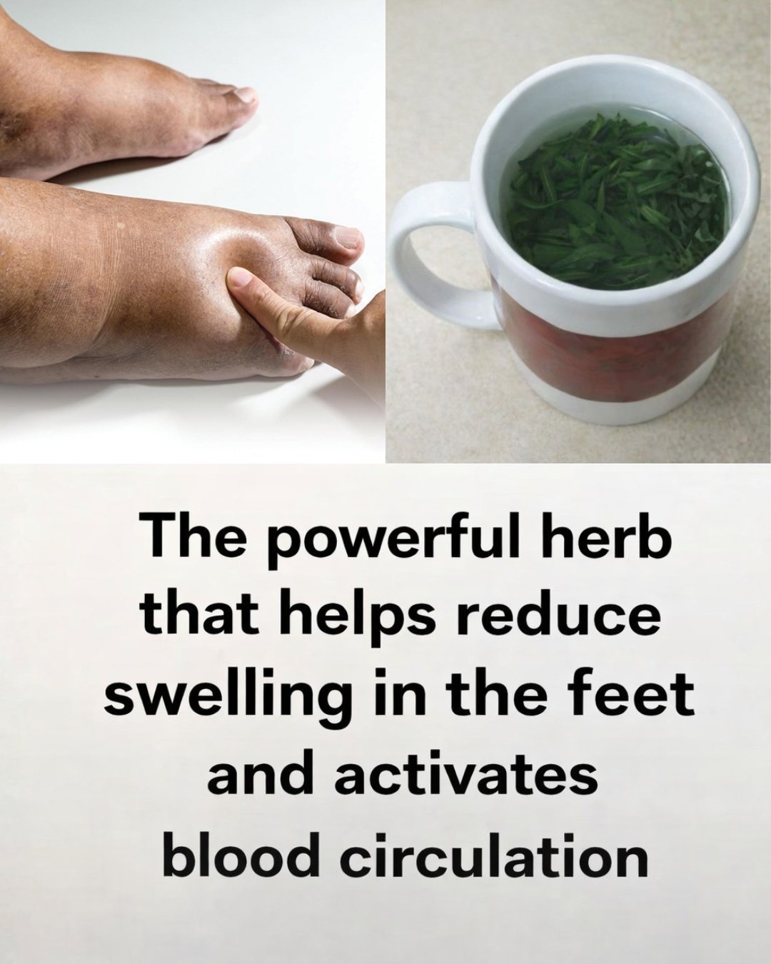 8 Best Diuretic Teas to Reduce Bloating and Fluid Retention Naturally