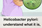 Helicobacter pylori – What It Is, Key Symptoms, Causes & Prevention