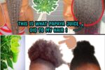 Papaya Leaves: Don’t Do This Hair Treatment If You’re Not Prepared for Extreme Hair Growth