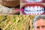 Achieve a Brighter Smile Naturally with Rice and Other Powerful Ingredients