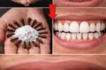 9 Natural Ways to Help Remove Plaque & Reduce Tartar Buildup