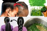 Moringa Leaves: The Natural Secret That Could Double Your Hair Growth (Science, Stories & Simple DIY Method)