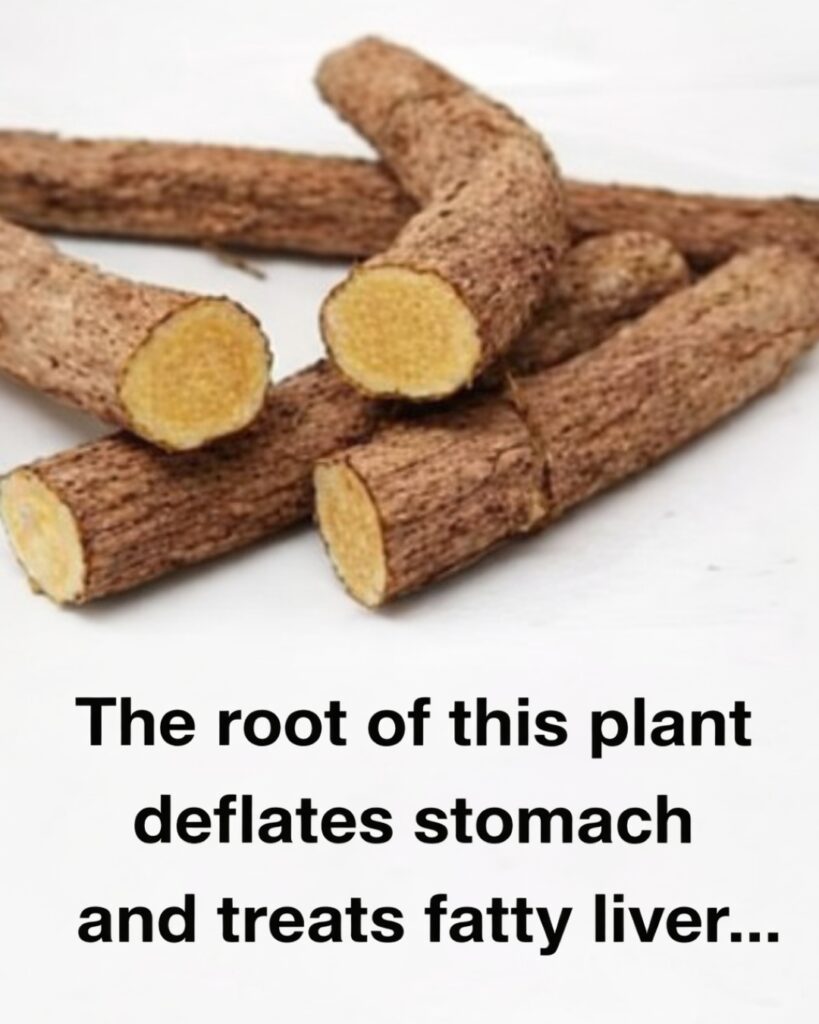 The Root That Soothes Your Stomach and Supports Liver Health Naturally