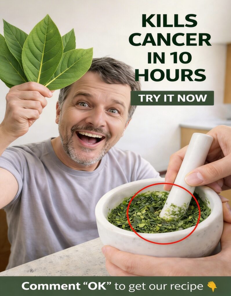 The Powerful Leaf People Are Talking About: What Science Actually Says About Graviola (Soursop) Leaves