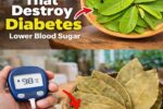 Discover the Potential Benefits of Three Common Leaves for Supporting Blood Sugar Levels and Wellness