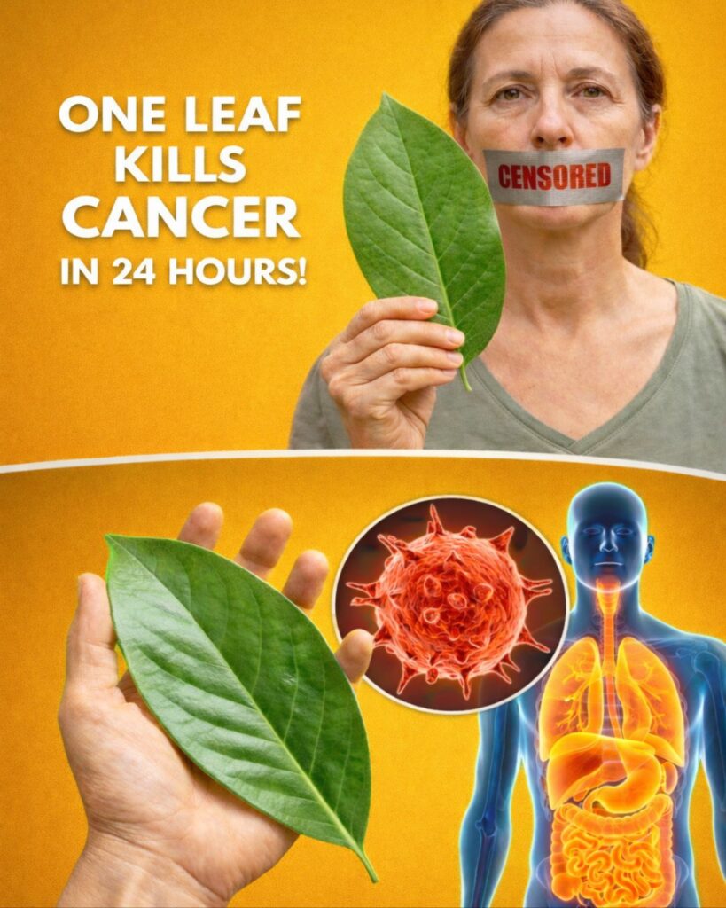 The Cancer Destroying LEAF That Doctors Aren’t Telling You About! Barbara O’Neill SECRET Discover!