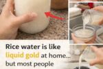Discover How to Use Rice Water from Your Kitchen for Hair and Skin Care Routines