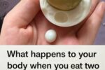 What Happens to Your Body When You Eat Two Eggs a Day? The Surprising Truth