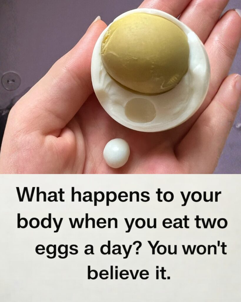 What Happens to Your Body When You Eat Two Eggs a Day? The Surprising Truth