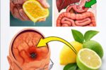 13 Fatal Mistakes You’re Probably Making with Lemon Water – And How to Fix Them for Maximum Health Benefits