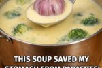 Garlic Broccoli Cream Soup That Saved My Stomach: A Comforting Anti-Parasite Inspired Recipe