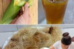 Corn Silk: 30 Health Benefits and How to Use It