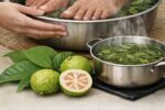 Guava Leaves for Water Retention: A Natural Remedy to Reduce Bloating and Swelling