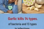Is It True That Garlic Kills 14 Types of Bacteria and 13 Types of Infections?