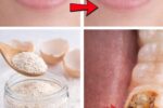 Eggshell Powder and Toothpaste: Unlock Tartar-Free Teeth Naturally at Home