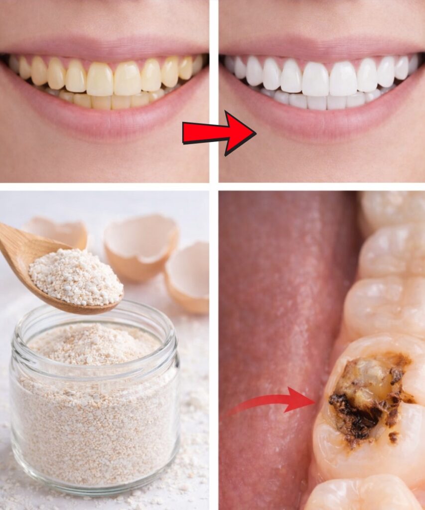 Eggshell Powder and Toothpaste: Unlock Tartar-Free Teeth Naturally at Home