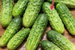 Doctors Reveal What Really Happens When You Eat Cucumber in Salads Every Day