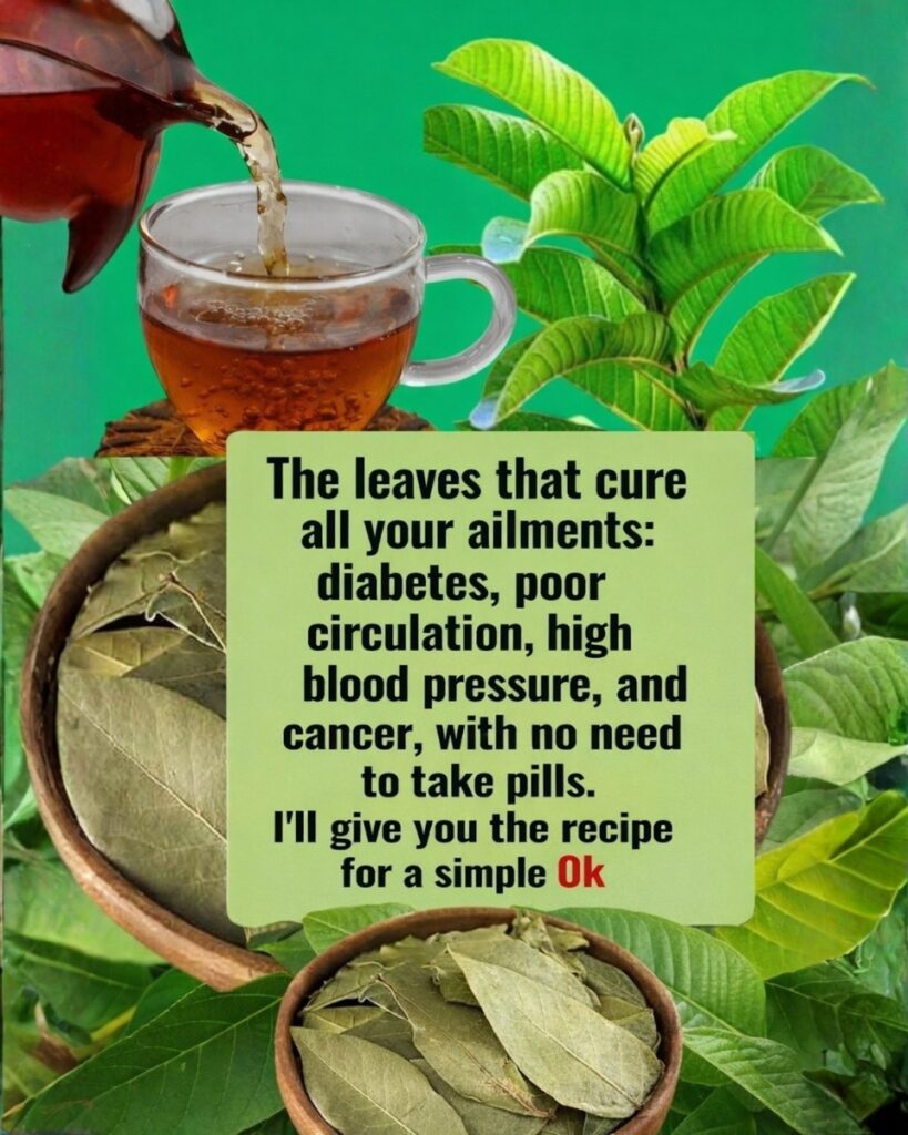 🌿 Natural Leaves That May Help Support Healthy Blood Sugar Levels