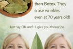 Bay Leaf for Wrinkles: A Natural Anti-Aging Remedy That Nourishes the Skin