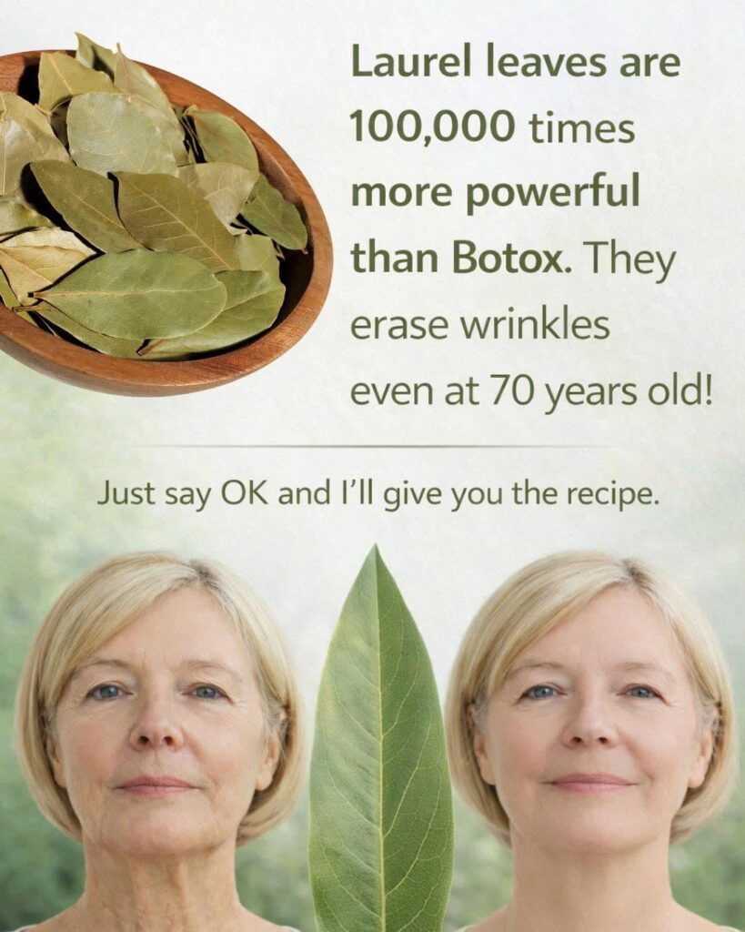 Bay Leaf for Wrinkles: A Natural Anti-Aging Remedy That Nourishes the Skin