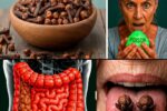 STOP Using Cloves With These Foods or Medications – The Hidden Risks Seniors Need to Know