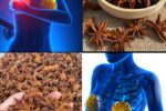 8 Health Benefits & Uses of Anise Seeds for Women — Backed by Tradition & Science