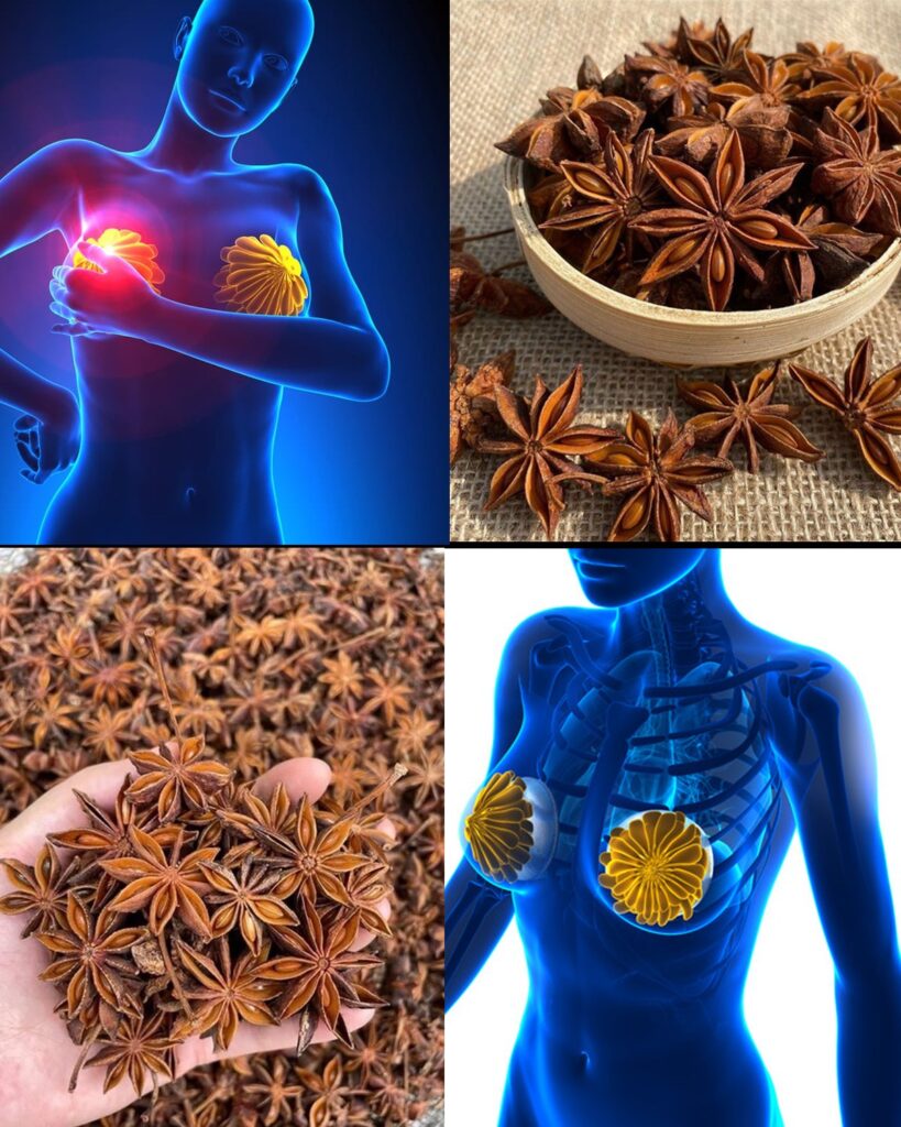 8 Health Benefits & Uses of Anise Seeds for Women — Backed by Tradition & Science