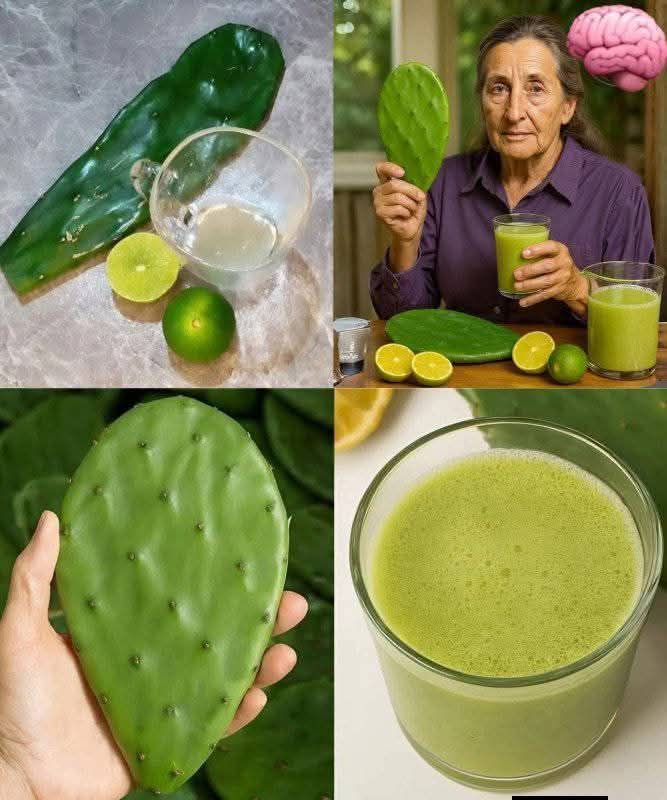 Nature’s Ultimate Detox Drink: Lemon and Nopal Juice Will Leave You Glowing in Days