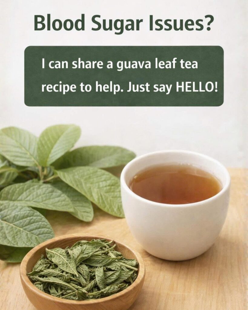 Guava Leaf Tea: Benefits, Properties, and How to Prepare It at Home