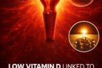 Low Vitamin D and Hormone Balance: A Quiet Risk Many Women Miss?