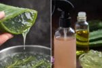 Aloe Vera for Skin: A Natural Remedy for Soft, Firm, and Radiant Results