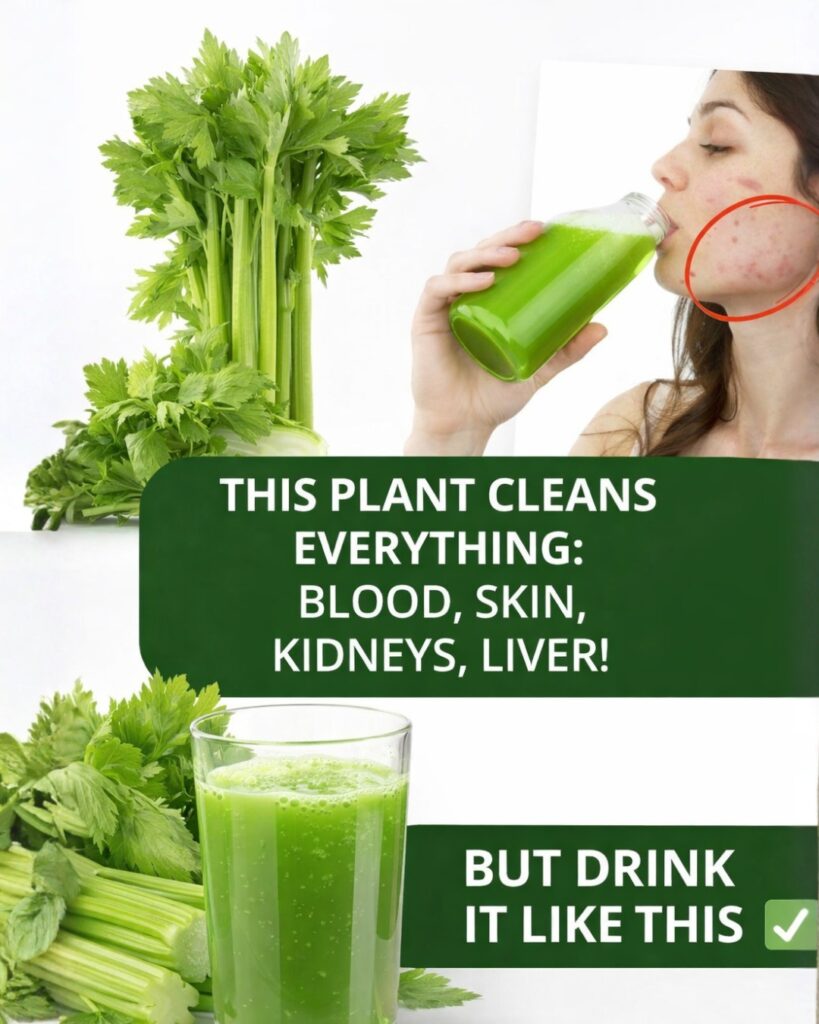 This Powerful Green Plant May Help Cleanse Your Blood, Skin, Kidneys, Liver, and Pancreas — But Only If Used This Way